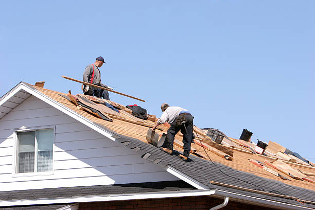 Steel Roofing